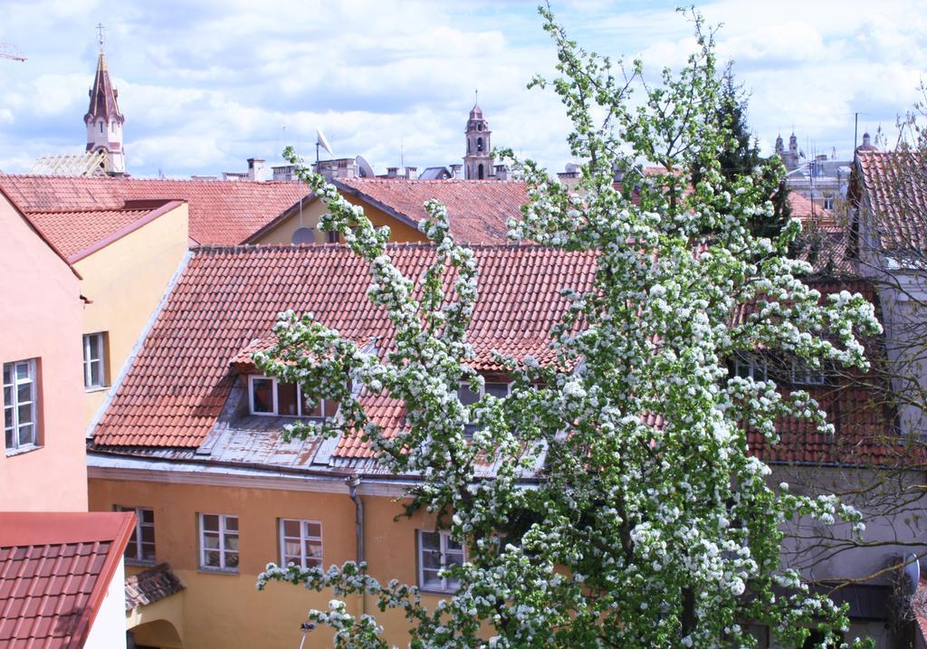 Old Town Apartment Antokolskio VNO Dış mekan fotoğraf